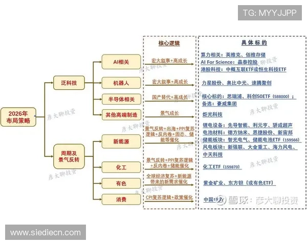 多宝视讯的公司起源及其在国内外市场的布局策略分析